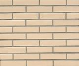 Клинкерная плитка для фасада R100DF9 perla liso, Feldhaus Klinker (240х52х9) от 3 080 руб.