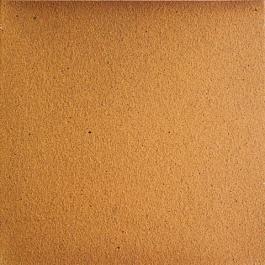 Клинкерная плитка напольная Natural 250x250x16 Gres de Aragon, арт.2925 от €63.040